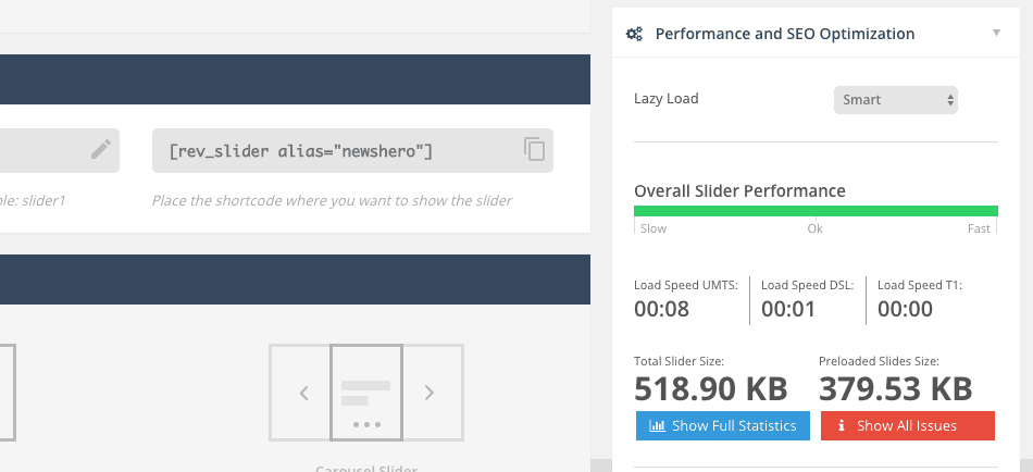 Performance and SEO Optimization tab